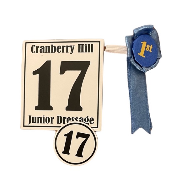 Our Generation Lily Anna 18” Doll & Horse Riding Set Clothing & Lemonade Set - Picture 5 of 16